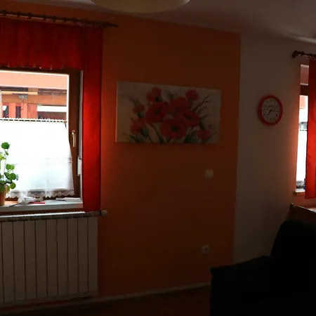 Apartma Na Vasi Appartamento