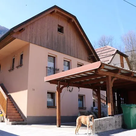 Apartma Na Vasi Zaga